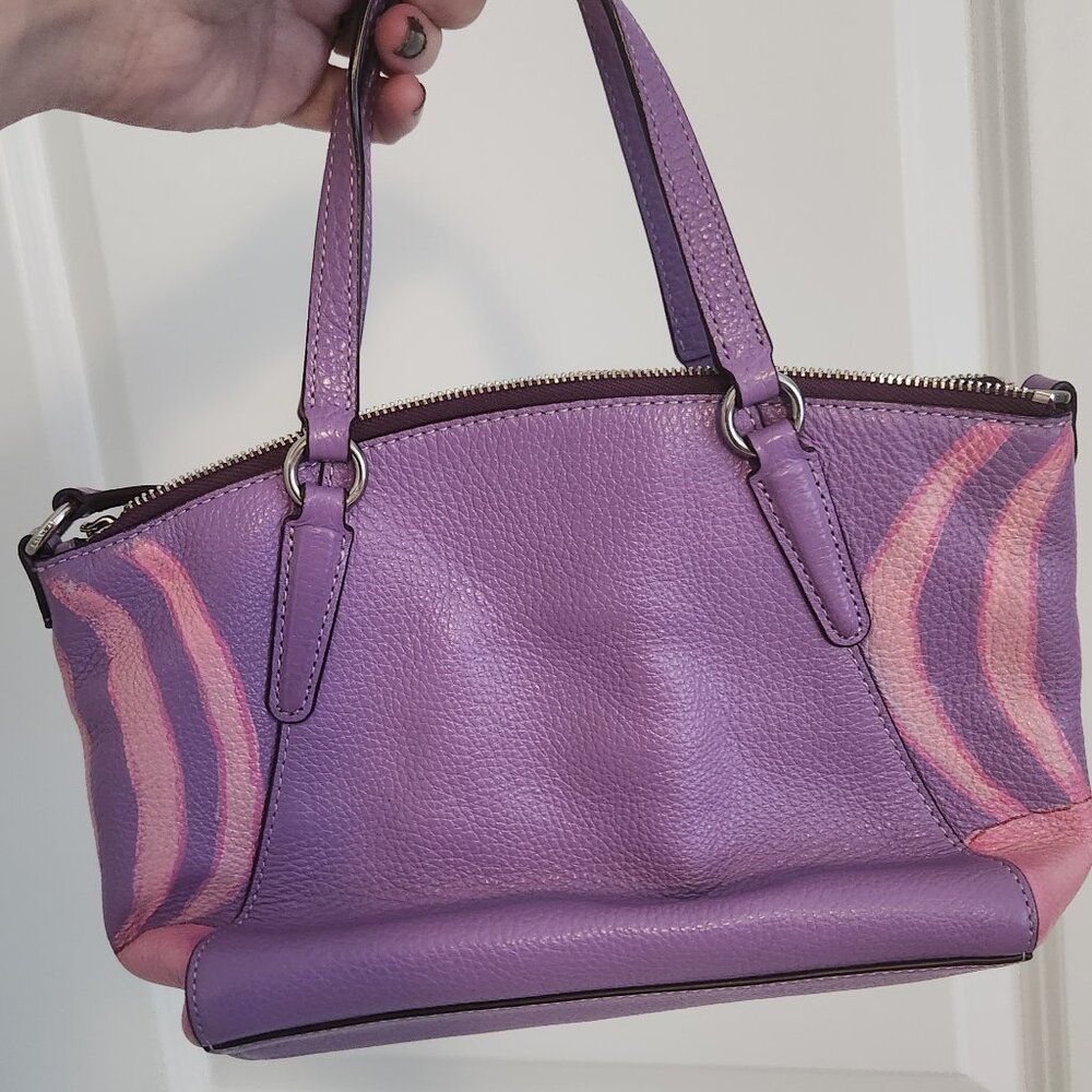 Coach Hand painted Rapunzel Purse - Picture 4 of 4